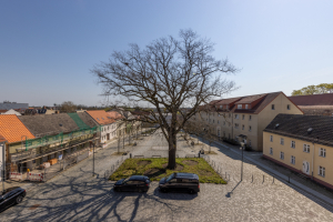 Blick vom Stadthaus auf den Markt